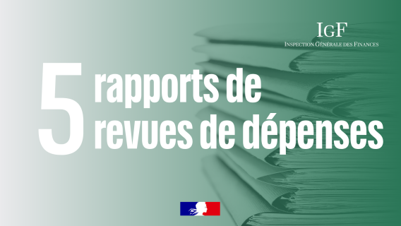 5 rapports de revues de dépenses